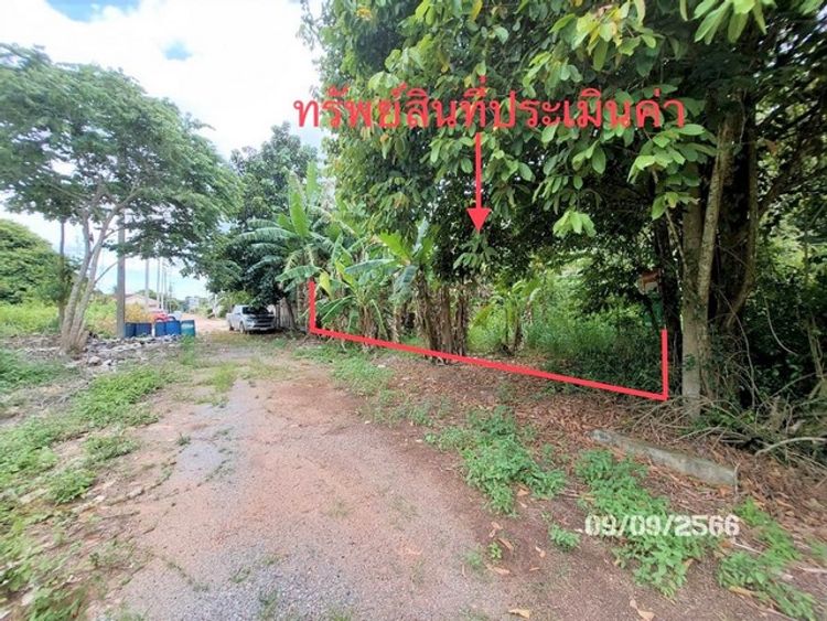 ที่ดินว่างเปล่าใกล้ แก้วมินิมาร์ท อำเภอเมืองสุราษฎร์ธานี PKK01-11625, ภาพที่ 4