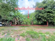 ที่ดินว่างเปล่าใกล้ แก้วมินิมาร์ท อำเภอเมืองสุราษฎร์ธานี จังหวัดสุราษฎร์ธานี PKK01-11625