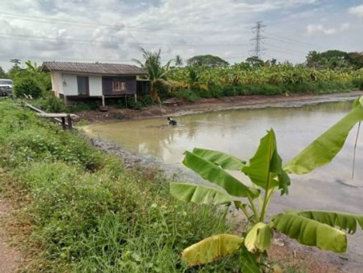 ขาย ที่ดิน 
~ TP - TEE 0084
~ คลอง 9 หนองเสือ ปทุมธานี 1 ไร่, ภาพที่ 4