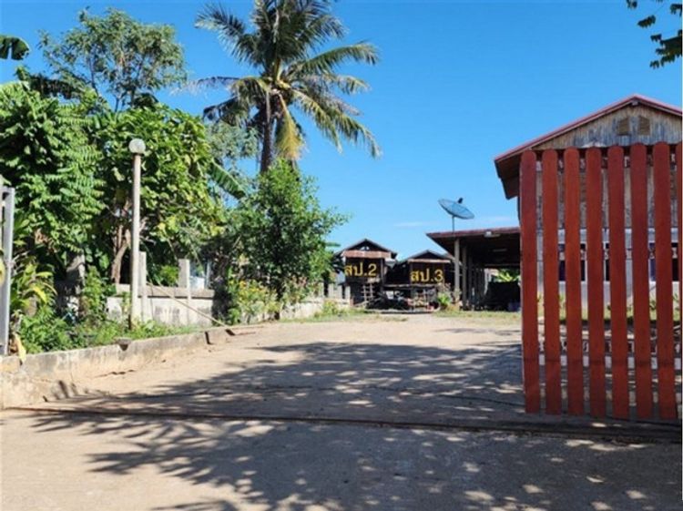 ขายบ้านเดี่ยว   อำเภอกันทรวิชัย  มหาสารคาม (PKK02-15598), ภาพที่ 4
