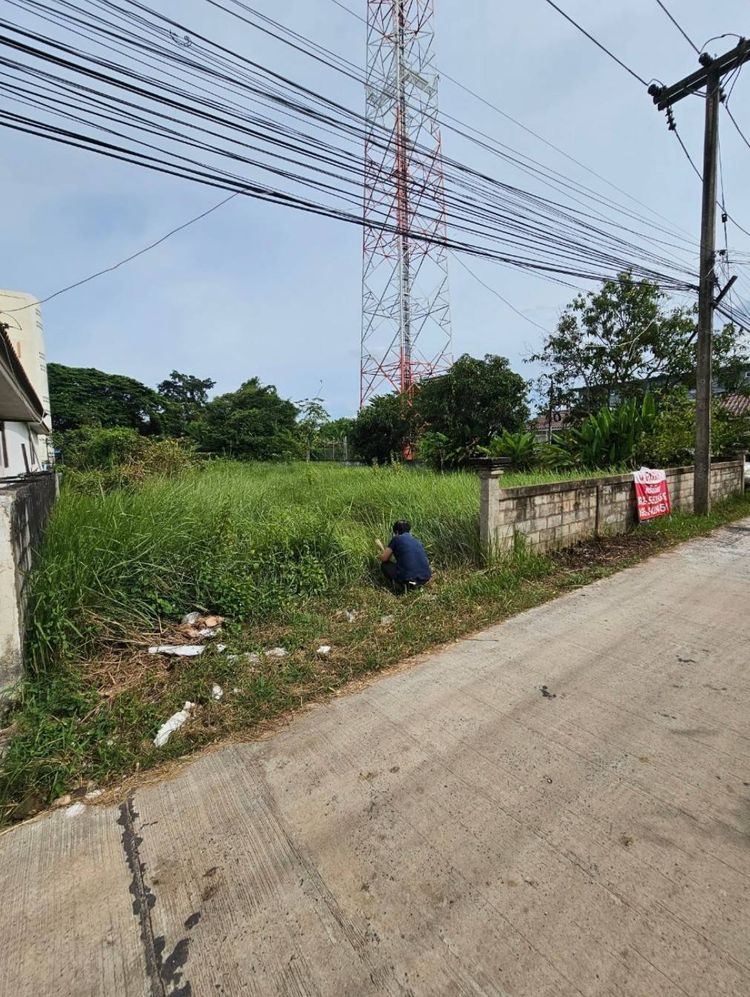 ขายที่ดินติดถนน ตำบลท่าขอนยาง จังหวัดมหาสารคาม, ภาพที่ 4