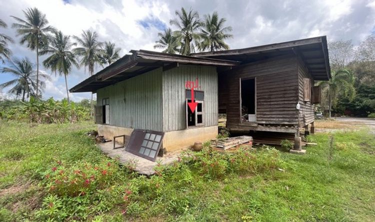 ขายบ้านเดี่ยวใกล้ ทวีมินิมาร์ทบ้านม่วงลีบ อำเภอกาญจนดิษฐ์ PKK02-13392, ภาพที่ 4