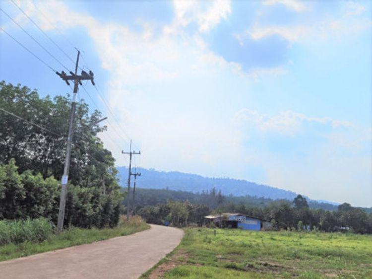 ขาย ที่ดิน ME132 ห่างถนน 4 เลนส์ หมายเลข 344 เพียง 650 m ซอยห้องชั่ง 5, ภาพที่ 4