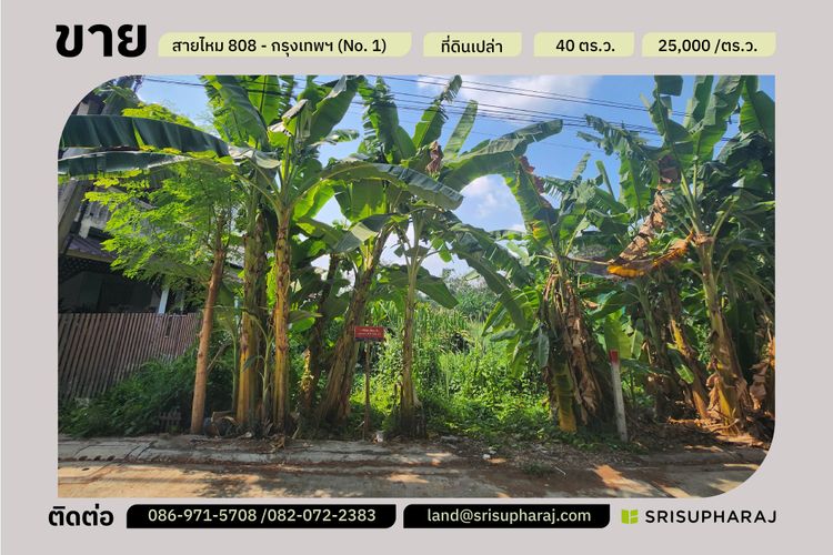 มาแล้ว#ขายที่ดินแปลงเล็ก “No.1” ขนาด : 40 ตร.ว, ภาพที่ 4