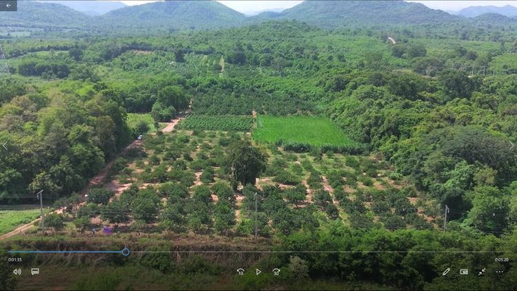 ขาย ที่ดิน ที่ดินทรงสวยแปลงสี่เหลี่ยมผืนผ้าหน้ากว้าง 75 ม.ลึก360 ม. 21, ภาพที่ 4