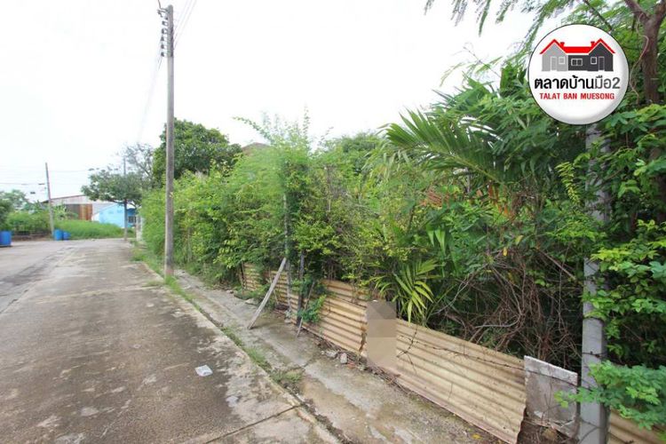 ขาย ที่ดิน ต้องการขายด่วนๆ หมู่บ้านซิตี้ วิลเลจ นิคมบางปู 1 งาน 85.8, ภาพที่ 4