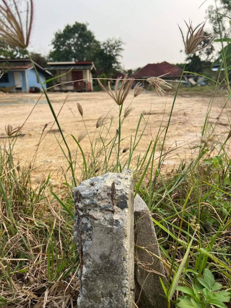 ขายที่ดินสำนักท้อน 245 ตรว. ซอยเทศบาล 45 ใกล้สนามบินอู่ตะเภา - 3 กม. -, ภาพที่ 4