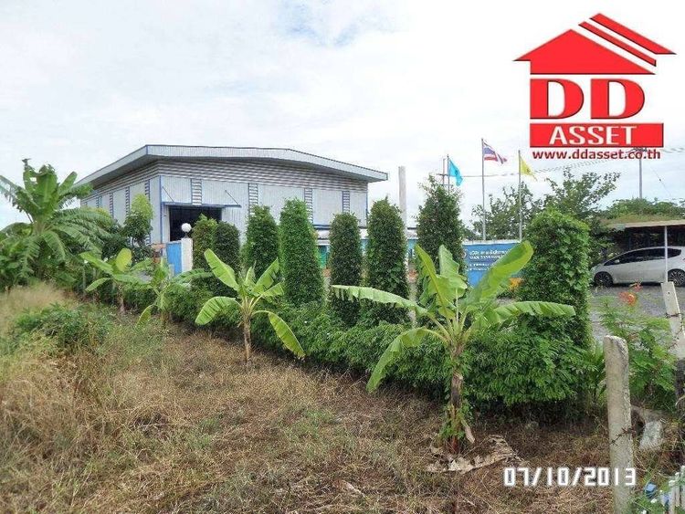 ขาย โกดัง / โรงงาน ตำบลบางปะกง อำเภอบางปะกง จังหวัดฉะเชิงเทรา, ภาพที่ 4