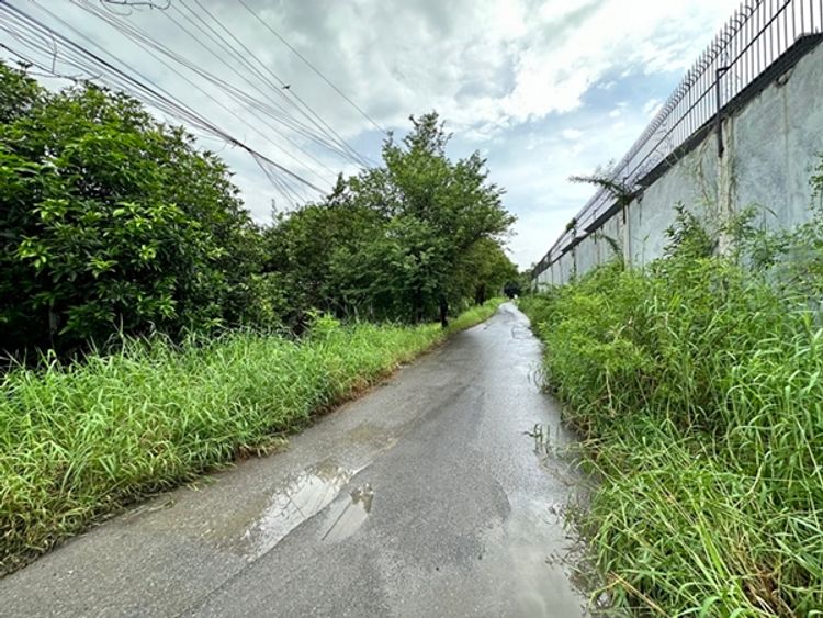 ขายที่ดิน ซ.เพิ่มสิน 36 ซอยแม้นเหมือน พื้นที่ 480 ตรว. ขายยกแปลง, ภาพที่ 4