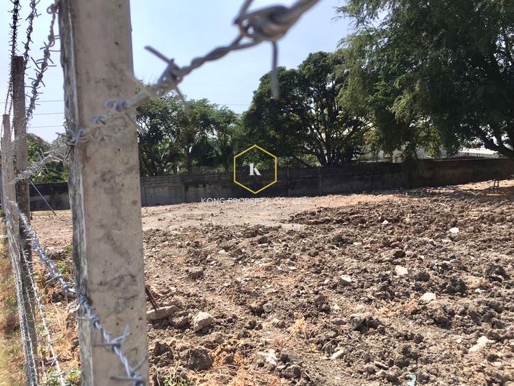 ให้เช่า ที่ดิน แขวงบางนาใต้ เขตบางนา กรุงเทพมหานคร, ภาพที่ 4