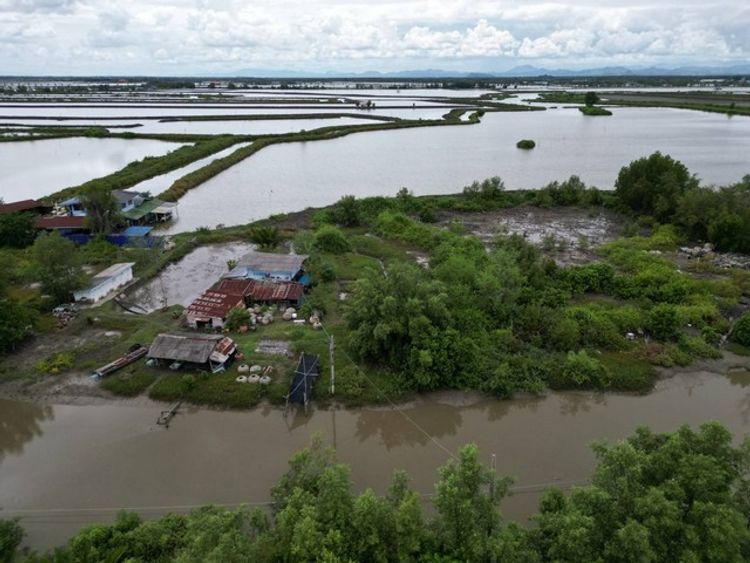 ขายที่ดิน 303 ตร.วา คลองโคน อ.เมือง จ.สมุทรสงคราม   ZW288, ภาพที่ 4