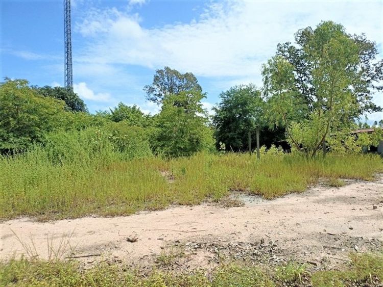 ขายบ้านเดี่ยว  อำเภอสุวรรณภูมิ   ร้อยเอ็ด (PKK02-06236), ภาพที่ 4