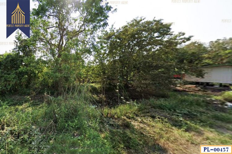 ขาย ที่ดิน ถนนอยู่วิทยา ซอย 3 หนองจอก กรุงเทพมหานคร  1 ไร่ 4 ตร.วา, ภาพที่ 4