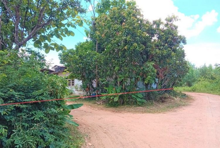ขายบ้านเดี่ยว   อำเภอเชียงขวัญ  ร้อยเอ็ด (PKK02-11423), ภาพที่ 4