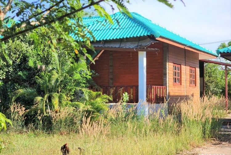 ขายบ้านเดี่ยว หมู่บ้านบ้านสงแคน  ร้อยเอ็ด (PKK02-14971), ภาพที่ 4