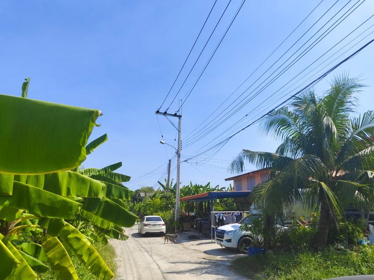 85957 - พร้อมขาย ! ที่ดิน 53 ตร.ว. ใกล้สนามบินสุวรรณภูมิ แถวลาดกระบัง 2, ภาพที่ 4