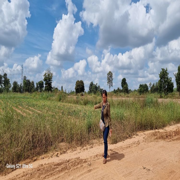 ขายถูกที่ดิน 1งาน 58 ตร.ว บ้านแดงใหญ่ ใกล้สนามบิน มหาวิทยาลัยขอนแก่น , ภาพที่ 4
