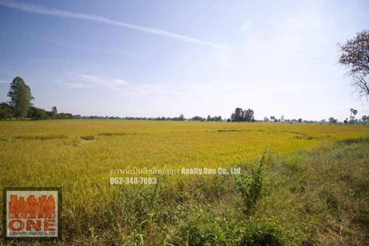 ขายที่ดิน แปลงมุม ติดถนนชลประทาน ต.ห้วยกรด อ.สรรคบุรี จ.ชัยนาท, ภาพที่ 4