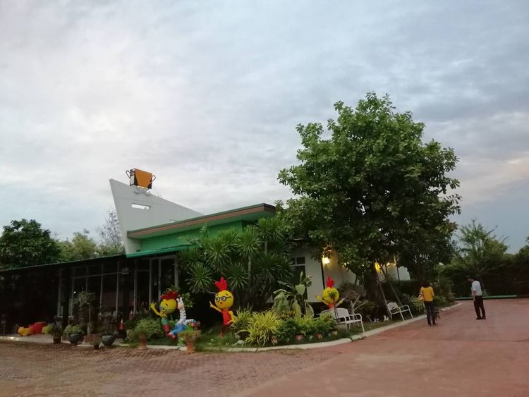 บ้านชั้นเดียวให้เช่า พื้นที่ 2 ไร่ ติดถนนเลี่ยงเมืองสระบุรี สนใจโทร 083, ภาพที่ 4