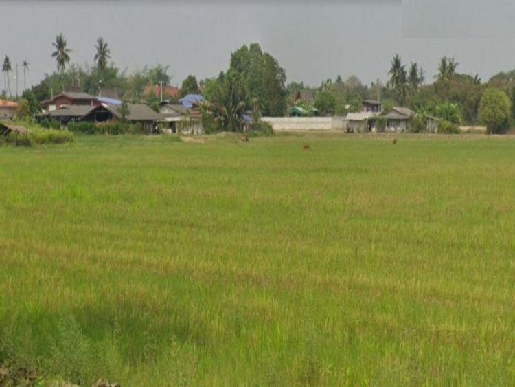 ขาย ที่ดิน 40 ไร่ โพธาราม ราชบุรี หน้ากว้างติดถนนประมาณ 150 เมตร , ภาพที่ 4