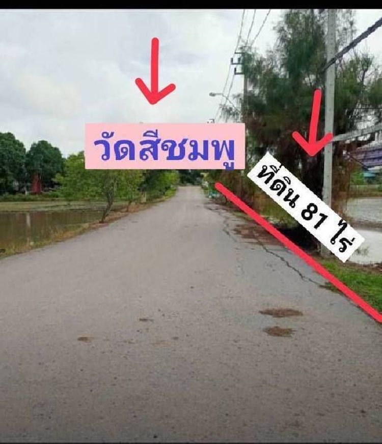 พร้อมขาย! ที่ดินผืนใหญ่ ย่านคลองสิบ เขตหนองจอก กรุงเทพ ใกล้วัดสีชมพู, ภาพที่ 4