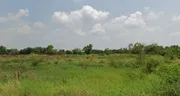 ขายที่ดิน 47 ไร่ 1 งาน หนองหมู วิหารแดง จังหวัดสระบุรี