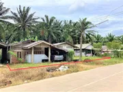 ขายบ้านเดี่ยว     อำเภอคลองท่อม กระบี่ (PKK02-11582)