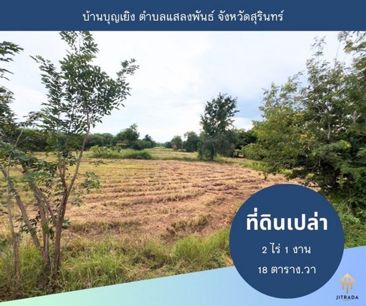 ขายที่ดิน พื้นที่ 2 ไร่ 1 งาน 18 ตร.ว. บ้านบุญเยิง ต.แสลงพันธ์ อ.เมือง , ภาพที่ 4