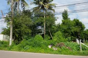 ขาย ที่ดิน มะขามเตี้ย เมือง สุราษฎร์ธานี ติดถนน เดินทางสะดวก