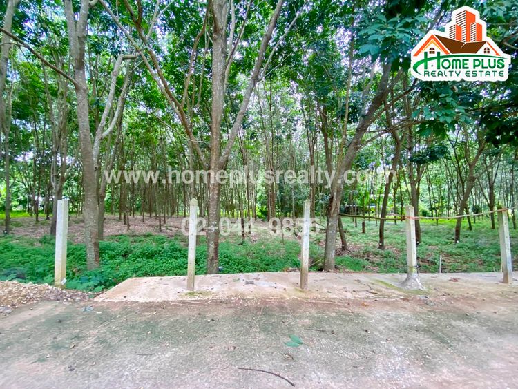 ที่ดินพร้อมสวนยางตำบลคอกควาย อำเภอบ้านไร่ อุทัยธานี เนื้อที่ 5 ไร่ 72, ภาพที่ 4