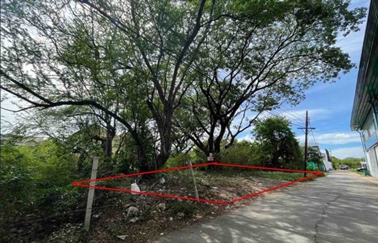 นวมินทร์ 24 หมู่บ้านศรีนครพัฒนา 202 ตรว เหมาะสร้างบ้านเดี่ยว สำนักงาน, ภาพที่ 4