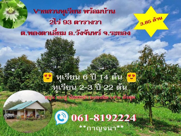 V่ายบ้านสวนทุเรียนติดถนนคอนกรีต 2 ไร่เขตพลงตาเอี่ยม จ.ระยอง, ภาพที่ 4