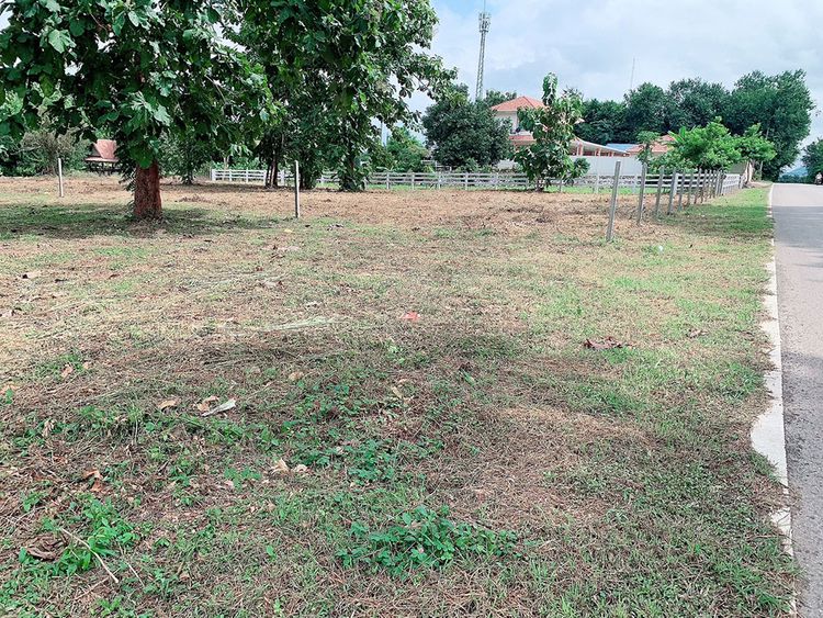ขายที่ดิน 8-2-29 ไร่ ติดถนนหลักเส้น 201 เลย-เชียงคาน อยู่แหล่งชุมชน รร., ภาพที่ 4