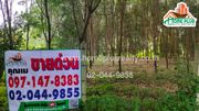 ที่ดินพร้อมสวนยางตำบลคอกควาย อำเภอบ้านไร่ อุทัยธานี เนื้อที่ 5 ไร่ 72 ตารางวา