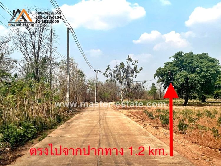 ที่ดิน จ.ตาก 44-2-52 ไร่ ติดถooสาธารณะ 2 ด้าน อยู่ม.น้ำด้วน 1 กม. 200 1, ภาพที่ 4