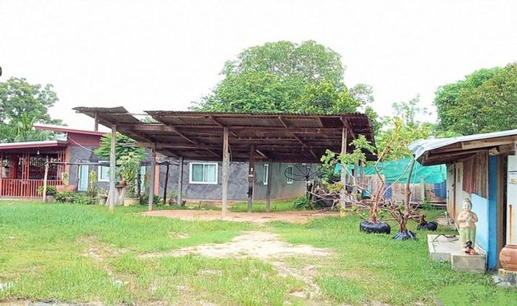 ขายบ้านเดี่ยว  อำเภอโนนนารายณ์  สุรินทร์  (PKK02-08317), ภาพที่ 4