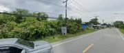 ขาย ที่ดิน ตำบลลำภู อำเภอเมืองนราธิวาส จังหวัดนราธิวาส
