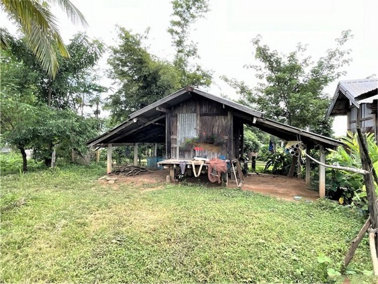 ขายบ้านเดี่ยว   อำเภอโพนพิสัย  หนองคาย (PKK02-09981), ภาพที่ 4