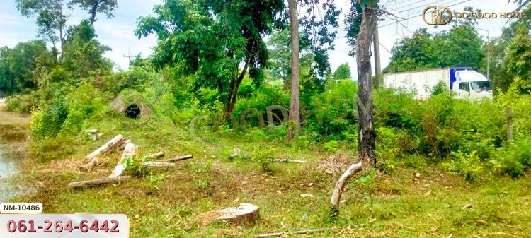ที่ดินขนาด 10 ไร่ 27 ตร.ว. ใกล้อ่างเก็บน้ำห้วยคำท้า นครพนม, ภาพที่ 4