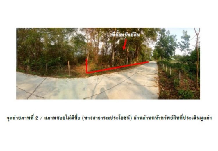 ขายที่ดิน 2 ไร่ 0 งาน 35.9 ตารางวา อำเภอสนม จังหวัดสุรินทร์, ภาพที่ 4