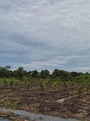ขายและให้เช่า ที่ดิน ตำบลบางบ่อ อำเภอบางบ่อ จังหวัดสมุทรปราการ ABAC Bangna