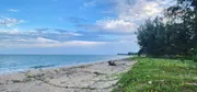 ขายที่ดินติดทะเลชุมพร หน้าติดทะเล หาดบ้านหนองบัว อ.ละเเม จ.ชุมพร แปลงละ 361 ตรว ทำเลงาม ถูกสวยทำเลดี