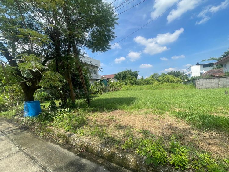 ขาย ที่ดิน190 ตรว. หมู่บ้านรวมเก้า พุทธมณฑลสาย2 แขวงบางไผ่ เขตบางแค, ภาพที่ 4