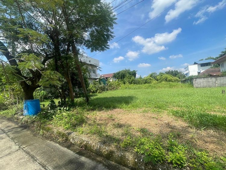 ขาย ที่ดิน แขวงบางไผ่ เขตบางแค กรุงเทพมหานคร, ภาพที่ 4