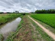 ที่ดินทุ่งนา  สันทรายหลวง  สันทราย                   