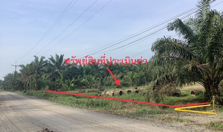 ขายที่ดินว่างเปล่าใกล้ ตลาดสดจิดาภา อำเภอพุนพิน จังหวัดสุราษฎร์ธานี, ภาพที่ 4