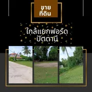 ขาย ที่ดิน ตำบลดอนรัก อำเภอหนองจิก จังหวัดปัตตานี