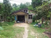 ขายบ้านเดี่ยวใกล้ สถานีอนามัยบ้านโล๊ะจังกระ อ.กงหรา จ.พัทลุง PSC07583