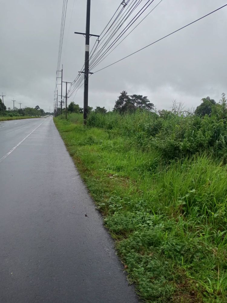 ขาย ที่ดิน ตำบลโคกสำราญ อำเภอเลิงนกทา จังหวัดยโสธร, ภาพที่ 4