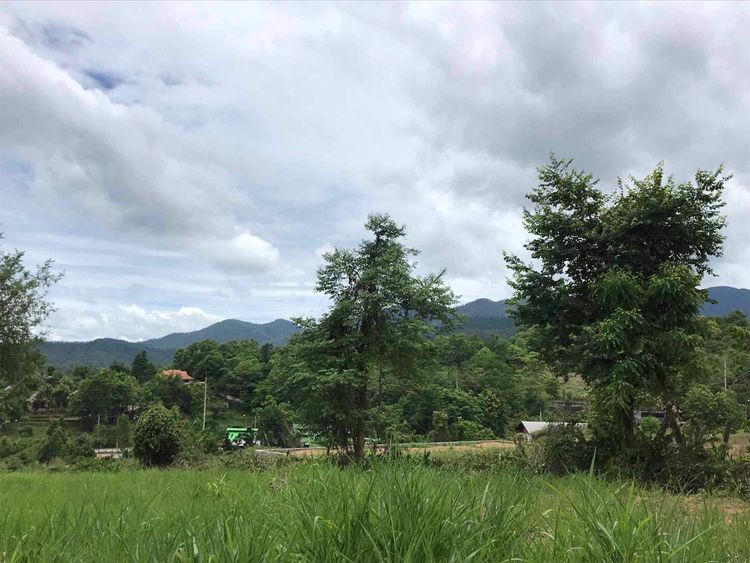 ขาย ที่ดิน ตำบลเวียงใต้ อำเภอปาย จังหวัดแม่ฮ่องสอน, ภาพที่ 4